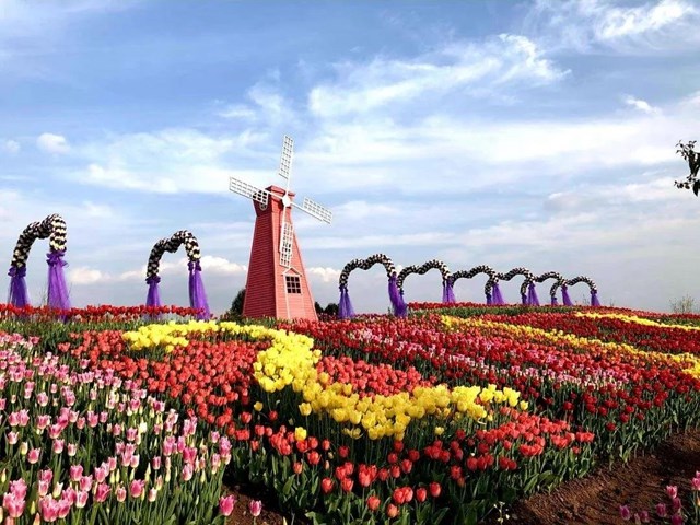 陽(yáng)光明媚好踏春！內(nèi)江這些地方有花有景有美食