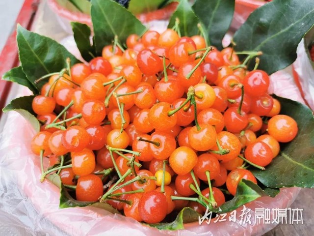 鮮美！春游內(nèi)江尋野味