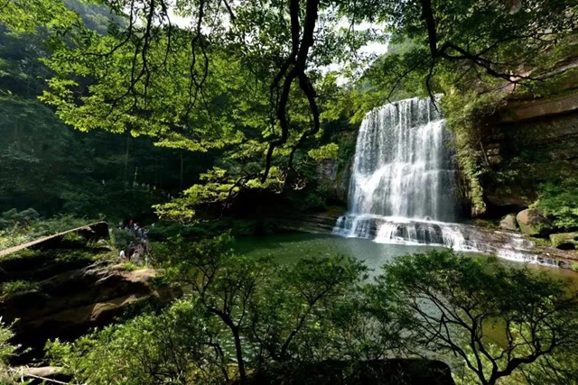 瀘州這兩條自駕避暑線路，清涼又愜意！