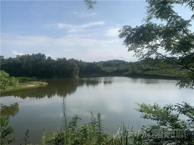 湖光山色兩相和，內(nèi)江這處“寶藏”湖泊太適合夏天出游！