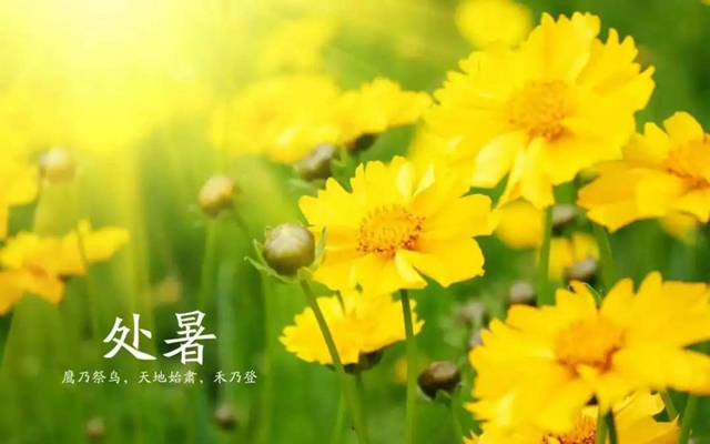 【處暑】今天起，養(yǎng)生注意這三點(diǎn)！