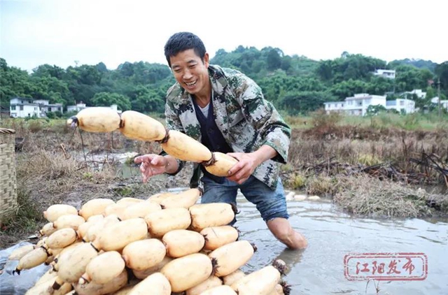 蔬菜太貴？江陽本土吃貨專場來咯！美味還實(shí)惠，買它！