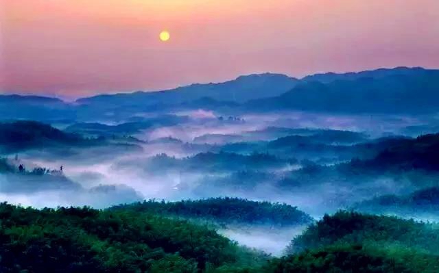觀竹景、賞竹文、品竹食……快來領略宜賓最美竹游風情！
