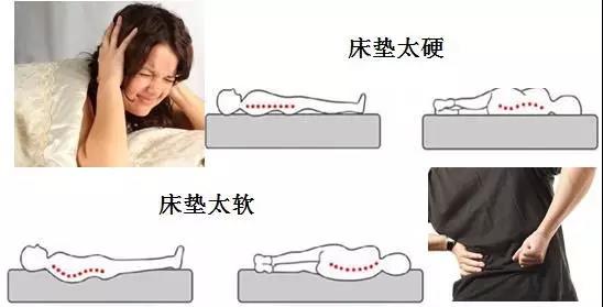 【擴(kuò)散】床不是越硬越好，看看您適合睡哪種床？(圖4)