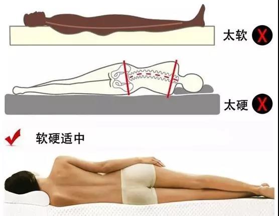 【擴(kuò)散】床不是越硬越好，看看您適合睡哪種床？(圖5)