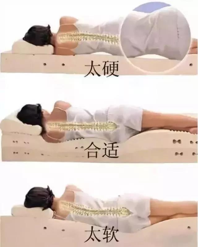 【擴(kuò)散】床不是越硬越好，看看您適合睡哪種床？(圖6)