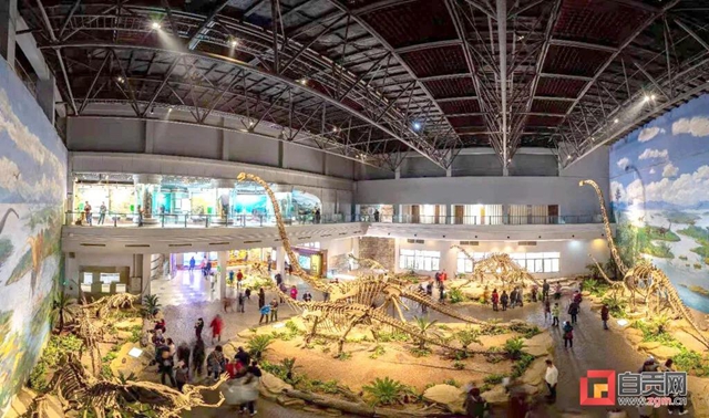 元旦就去！自貢推出4條精品旅游線路(圖3)