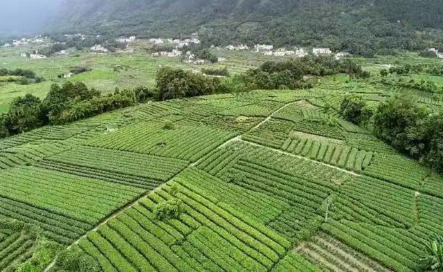 山川遼闊，人間值得丨踏上敘永丹山之旅(圖8)