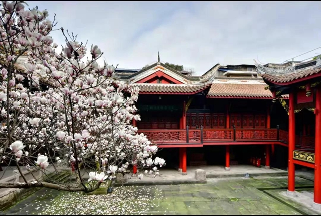 春節(jié)怎么過？有顏值、有內(nèi)涵！一起去逛瀘州這些博物館