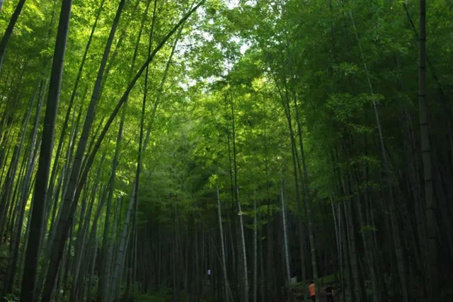內(nèi)江超好耍的鄉(xiāng)村旅游點(diǎn)都在這了，你覺得最安逸的是哪一個(gè)？(圖2)