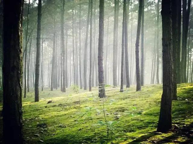 內(nèi)江超好耍的鄉(xiāng)村旅游點(diǎn)都在這了，你覺得最安逸的是哪一個(gè)？(圖11)