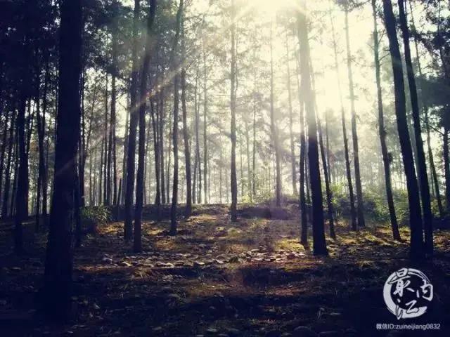 內(nèi)江超好耍的鄉(xiāng)村旅游點(diǎn)都在這了，你覺得最安逸的是哪一個(gè)？(圖12)