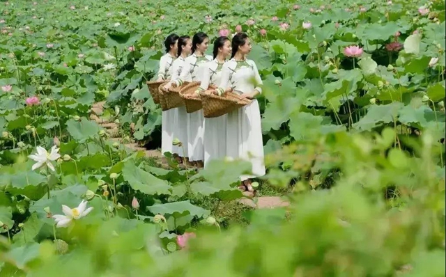 內(nèi)江超好耍的鄉(xiāng)村旅游點(diǎn)都在這了，你覺得最安逸的是哪一個(gè)？(圖15)