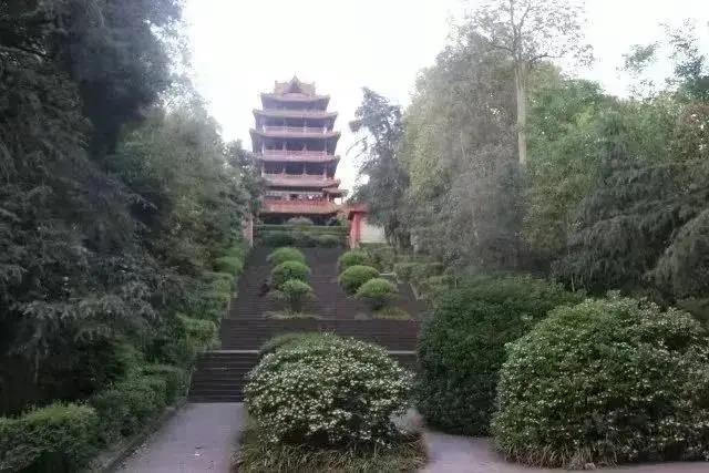 內(nèi)江超好耍的鄉(xiāng)村旅游點(diǎn)都在這了，你覺得最安逸的是哪一個(gè)？(圖28)
