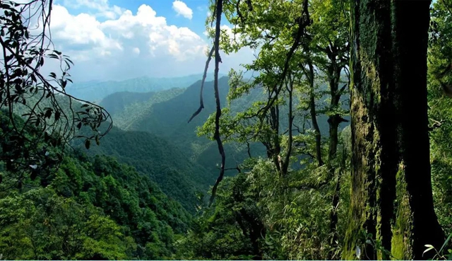 正是登山好時(shí)節(jié)丨一起出門，遇見春天(圖13)
