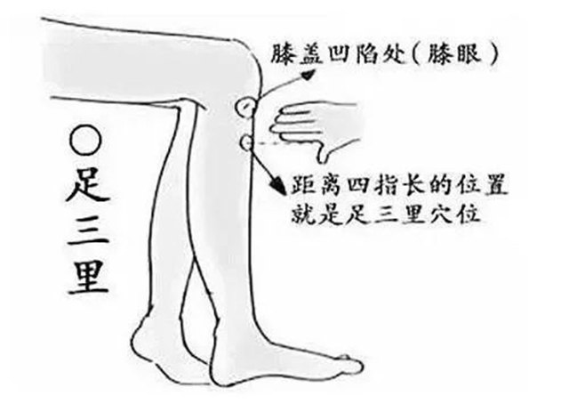 【擴散】這些中醫(yī)辦法，可提升身體免疫力！(圖13)