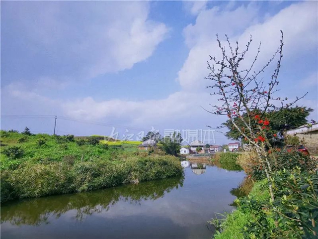 花都開(kāi)好了！內(nèi)江版“江南水鄉(xiāng)”，等你來(lái)品！(圖4)