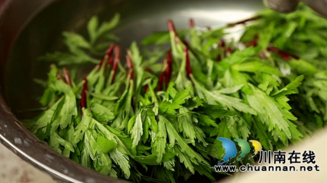 合江：春天的饋贈(zèng)，一桌野菜做出美味佳肴(圖11)
