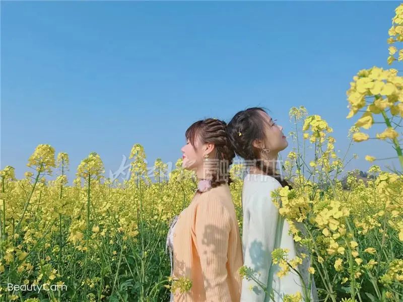 曬太陽了！內(nèi)江戶外親子出游好去處匯總，沖鴨——