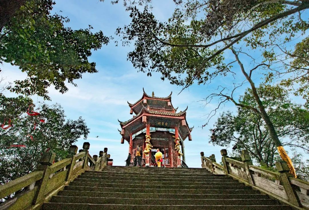 收藏！瀘縣踏青賞花地圖出爐，趕緊約起！(圖9)