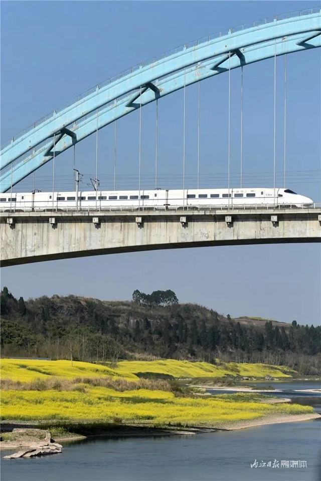告內江市民：乘上這路列車，你就能進入一個“夢幻境界”(圖4)