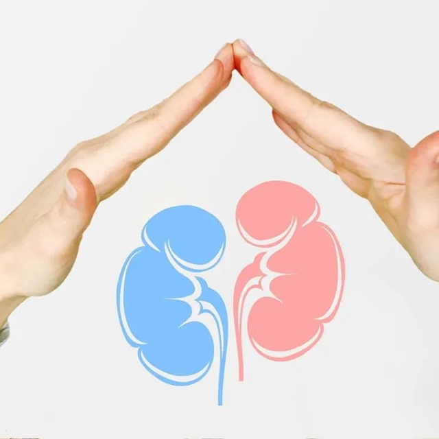 【世界腎臟日】當(dāng)尿液泡泡多且經(jīng)久不散時(shí)，可能是腎在預(yù)警！(圖2)
