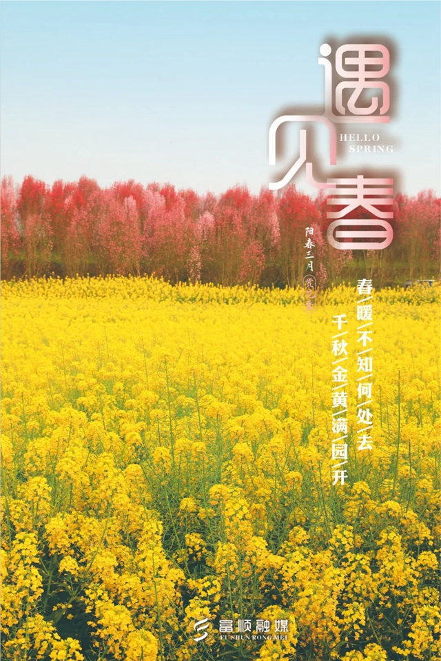 春至“豆花城” | 富順周末踏青來這就對了！(圖5)