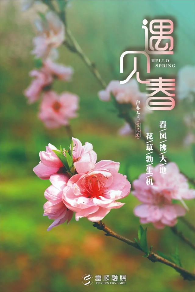 春至“豆花城” | 富順周末踏青來這就對了！(圖6)