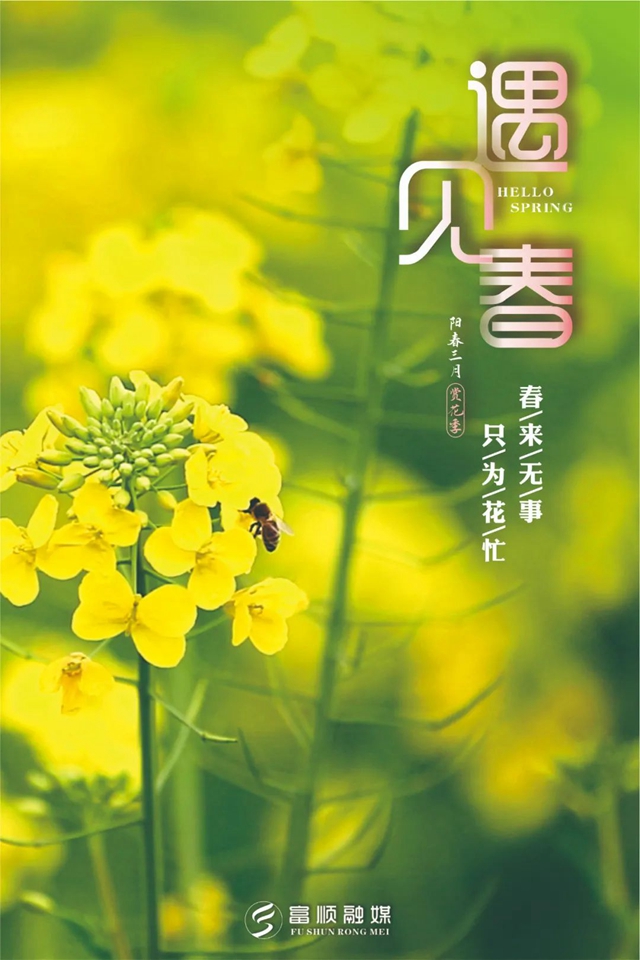 春至“豆花城” | 富順周末踏青來這就對了！(圖4)