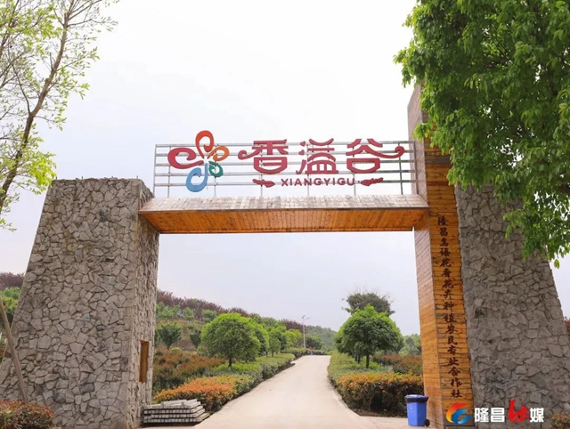 隆昌這些拍照打卡地，秒出大片！(圖8)