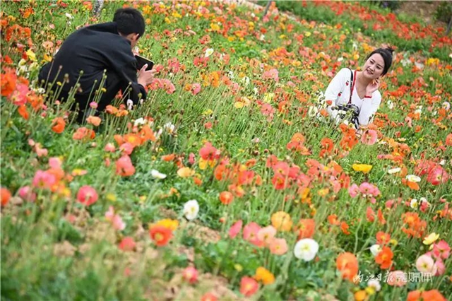一年四季都有花賞，隆昌這個景區(qū)太安逸了！(圖2)