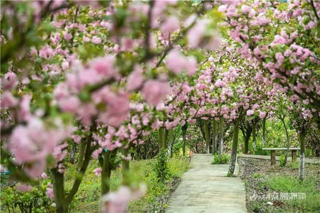 一年四季都有花賞，隆昌這個景區(qū)太安逸了！(圖3)