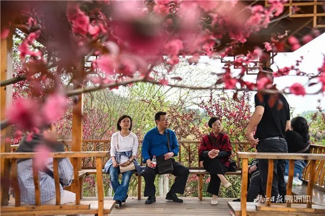 一年四季都有花賞，隆昌這個景區(qū)太安逸了！(圖8)