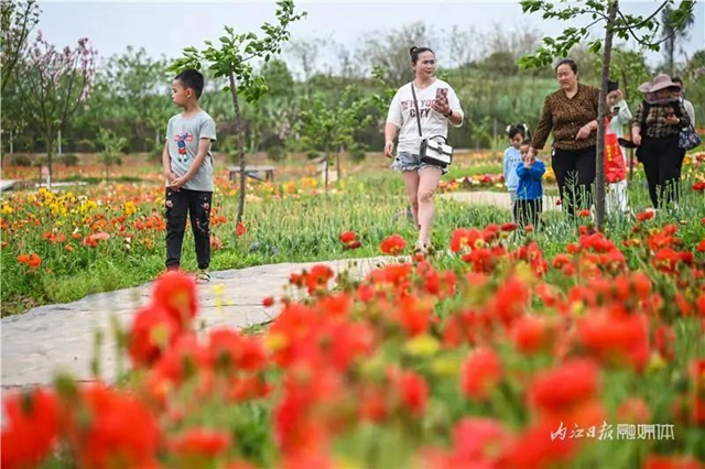 一年四季都有花賞，隆昌這個景區(qū)太安逸了！(圖13)
