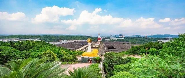 營收突破1600億！宜賓對外發(fā)布2021年度白酒產(chǎn)業(yè)年鑒(圖4)