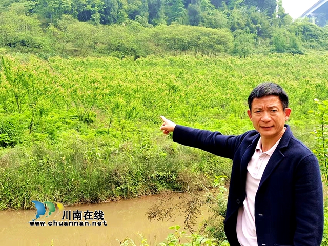 納溪旅游風(fēng)景區(qū)再添新成員！古龍大瀑布景區(qū)＂五一＂開門迎客(圖4)