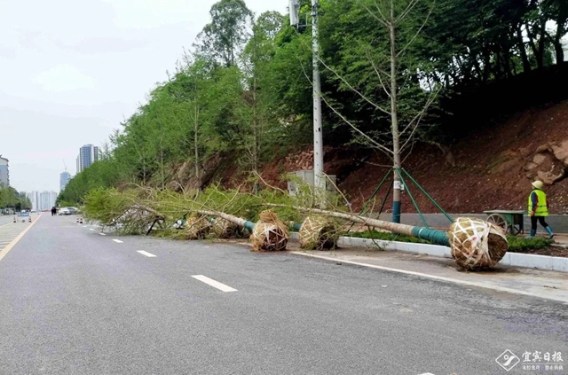 跨江大橋即將合龍、主干道拓寬…宜賓交通建設(shè)如火如荼！(圖8)