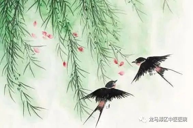 【谷雨養(yǎng)生】重在“三點(diǎn)”，龍馬中醫(yī)敲黑板！(圖2)