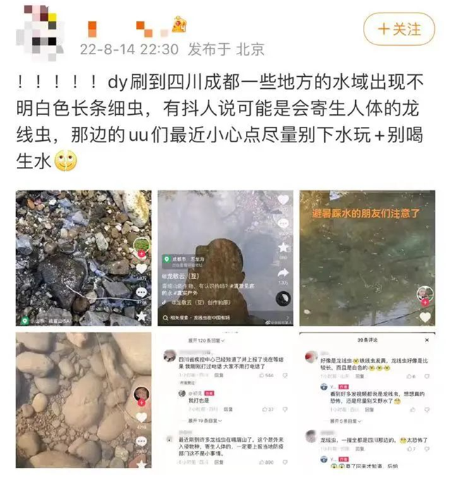 龍線蟲熱搜第一！四川疾控回應(yīng)了