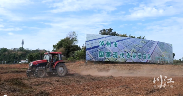 如何補(bǔ)齊瀘州104個(gè)現(xiàn)代農(nóng)業(yè)園區(qū)的短板？——瀘州市強(qiáng)化科技支撐培育農(nóng)業(yè)品牌觀察