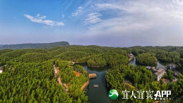 蜀南竹海對(duì)宜賓市民免費(fèi)開放！時(shí)間......