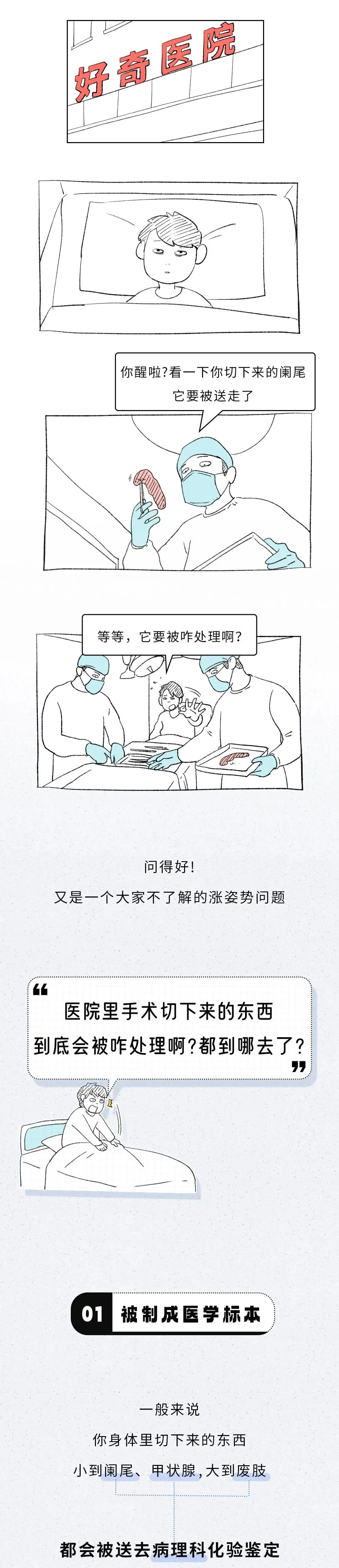 【漲姿勢】醫(yī)院截肢下來的部分都去哪了？
