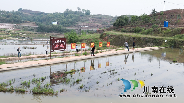 龍馬潭：小龍蝦垂釣，激發(fā)鄉(xiāng)村旅游新活力