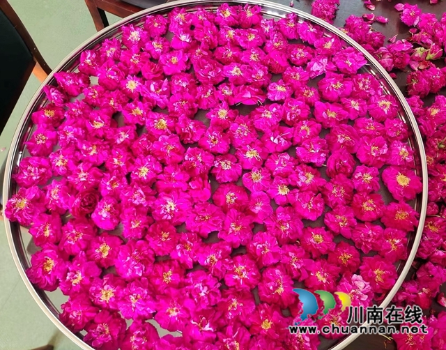 合江：手工玫瑰花醬，初夏一抹香甜滋味
