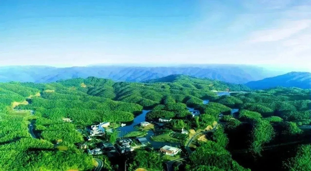 初冬的味道，從合江玉蘭山的“年豬湯”開始！