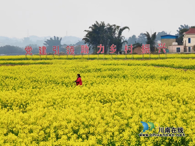 花開海潮 幸福如潮｜3月8日至10日，瀘縣海潮鎮(zhèn)邀請(qǐng)你參加“花田喜事花神節(jié)”活動(dòng)