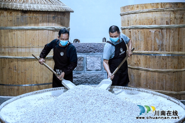 2024年3月23日，四川省瀘州市合江縣先市醬油作坊里，工人在用面粉拌和大豆。.jpg