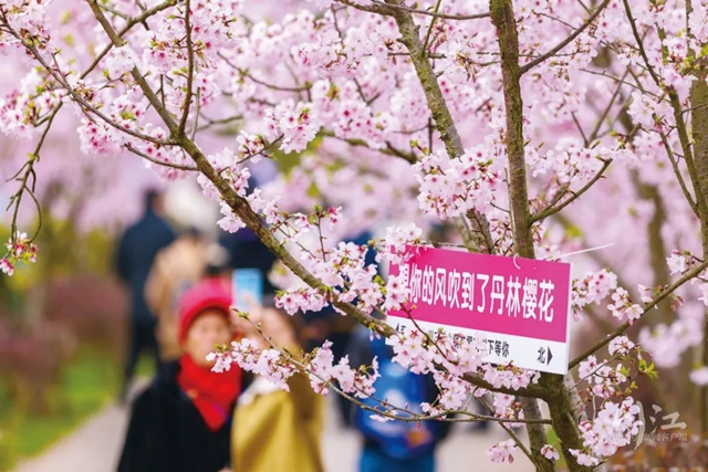?5條線路春夏秋冬不重樣！深度游瀘州，這才是正確打開方式→