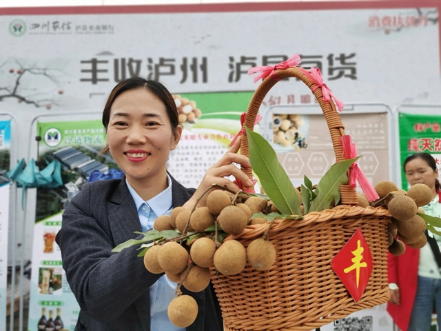 瀘州市鄉(xiāng)村女能人事跡展播①丨武萬瓊：讓龍眼在瀘縣山林間“重生”