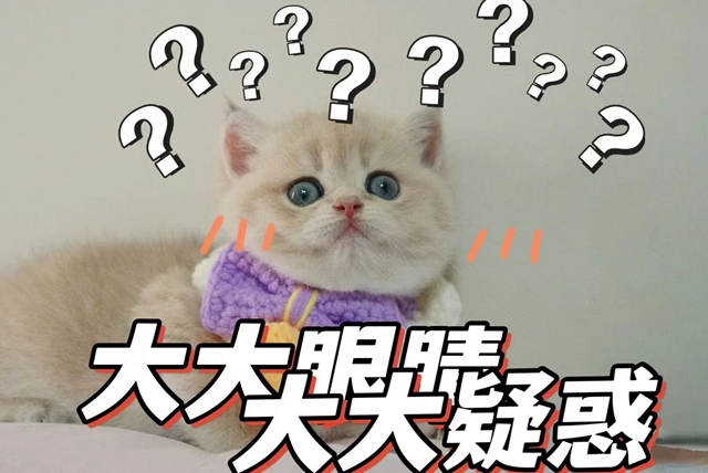 本周六！合江縣中醫(yī)醫(yī)院兒童暑期巡回診療來(lái)啦！